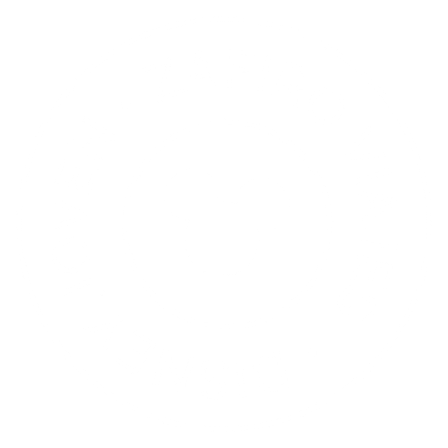 Zafiro Viajes Disney Joven